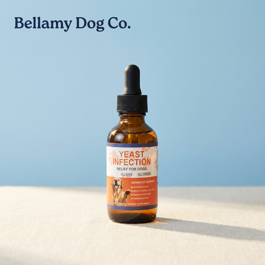 Bellamy Yeast Balance Drops for Dogs | Ear, Paw & Skin Support